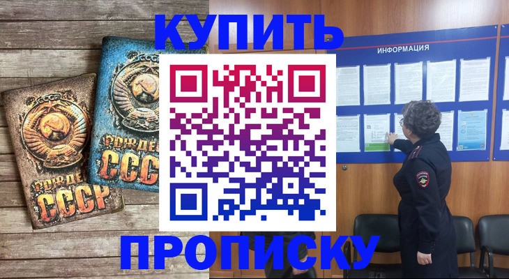 прописка для школы в Фрязино